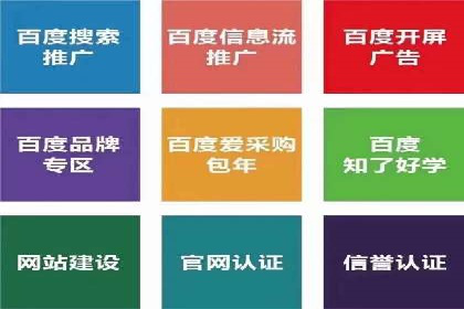 百度广告投放策略与效果评估案例